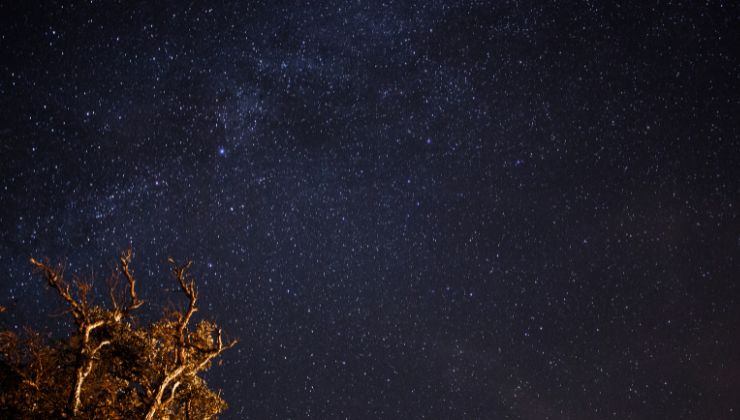 Donde y cuando ver perseidas