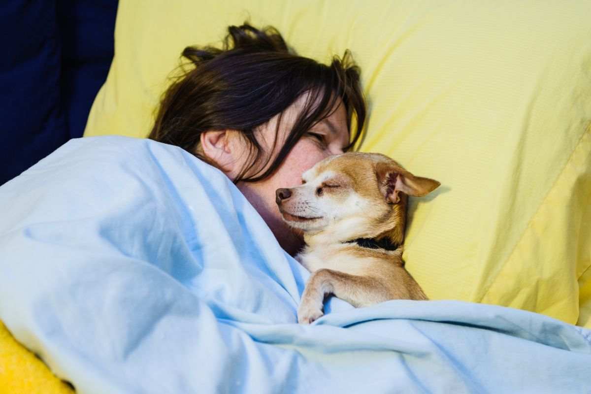 riesgos de dormir con tu mascota 